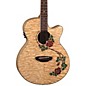 Open Box Luna Flora Rose Folk Acoustic-Electric Guitar Level 1 Quilted Maple with Clear Finish thumbnail
