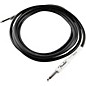 Fender Performance Series Instrument Cable Black 10 ft.