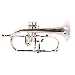 Blessing BFH-1541T Series Bb Flugelhorn BFH-1541TS Silver Yellow Brass Bell