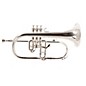 Blessing BFH-1541T Series Bb Flugelhorn BFH-1541T Lacquer Yellow Brass Bell thumbnail
