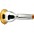 Bach Gold Rim Series Small Shank Trombone Mouthpiece 6-1/2AL Bach Gold Rim Series Small Shank Trombone Mouthpiece 12C