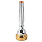 Bach Gold Rim Series Flugelhorn Mouthpiece 3C thumbnail