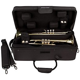 Protec IP301D iPAC Double Trumpet Case IP301D Black