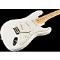 Fender Custom Shop Robin Trower Stratocaster Electric Guitar Arctic White Maple Fretboard