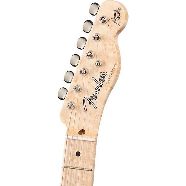 Platinum Fender Custom Shop Danny Gatton Telecaster Electric