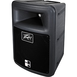 Peavey PR 10 Speaker Pair with Stands and Cables