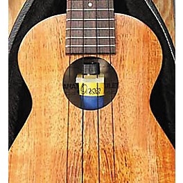 Oasis OH-18 Ukulele Humidifier