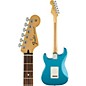 Fender Standard Stratocaster Electric Guitar with Rosewood Fretboard Lake Placid Blue Rosewood Fretboard
