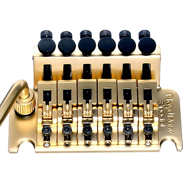 Floyd Rose Special Series Tremolo Bridge with R2 Nut Satin Gold