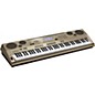 Casio AT-5 Oriental/Middle Eastern Keyboard 76 Key Portable Keyboard thumbnail