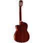 Open Box Alvarez Artist Series AC65HCE Classical Hybrid Acoustic-Electric Guitar Level 2 Natural 888366021606