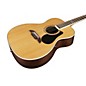 Restock Alvarez Artist Series AF75 Folk Guitar Natural