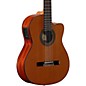 Alvarez Artist Series AC65CE Classical Acoustic-Electric Guitar Natural thumbnail