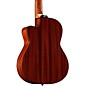 Open Box Alvarez Artist Series AC65CE Classical Acoustic-Electric Guitar Level 2 Natural 888365919010