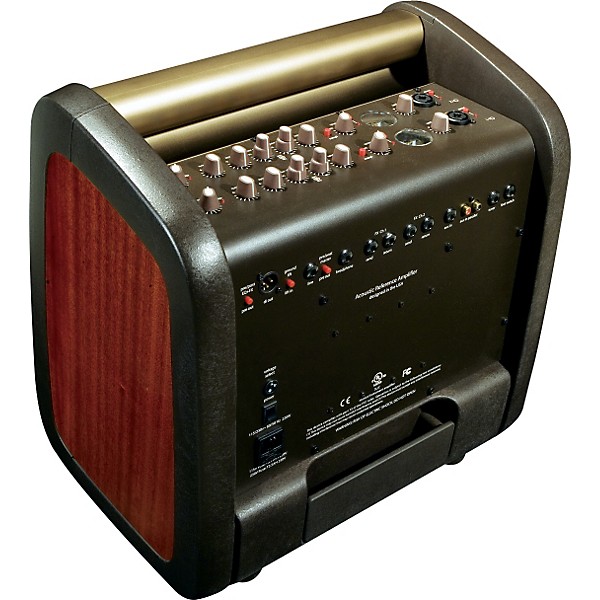 LR Baggs Guitar Center
