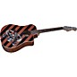 Fender Duane Peters Sonoran Acoustic-Electric Guitar Graphic thumbnail
