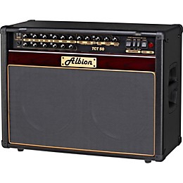 Open Box Albion Amplification TCT Series TCT50C 50W Tube Guitar Combo Amp Level 1 Plum