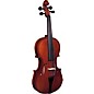 Strunal 3/10 Series Viola Outfit 14 in. Outfit thumbnail