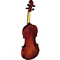 Open Box Strunal 1750 Concert Series Violin Outfit Level 1 4/4 Outfit thumbnail