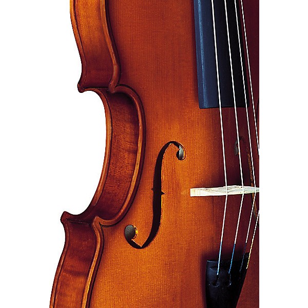Open Box Strunal 1750 Concert Series Violin Outfit Level 1 4/4 Outfit