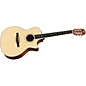 Taylor 414ce-N Ovangkol/Spruce Nylon String Grand Auditorium Acoustic-Electric Guitar Natural thumbnail