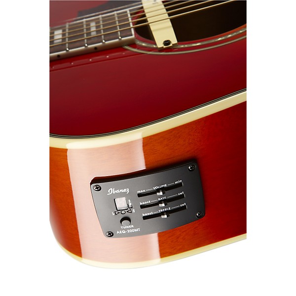 Ibanez Sage Series SGE220 Dreadnought Acoustic-Electric Guitar
