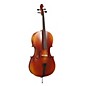 Bellafina 150S Cello Outfit 1/2 thumbnail