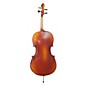 Bellafina 150S Cello Outfit 1/2