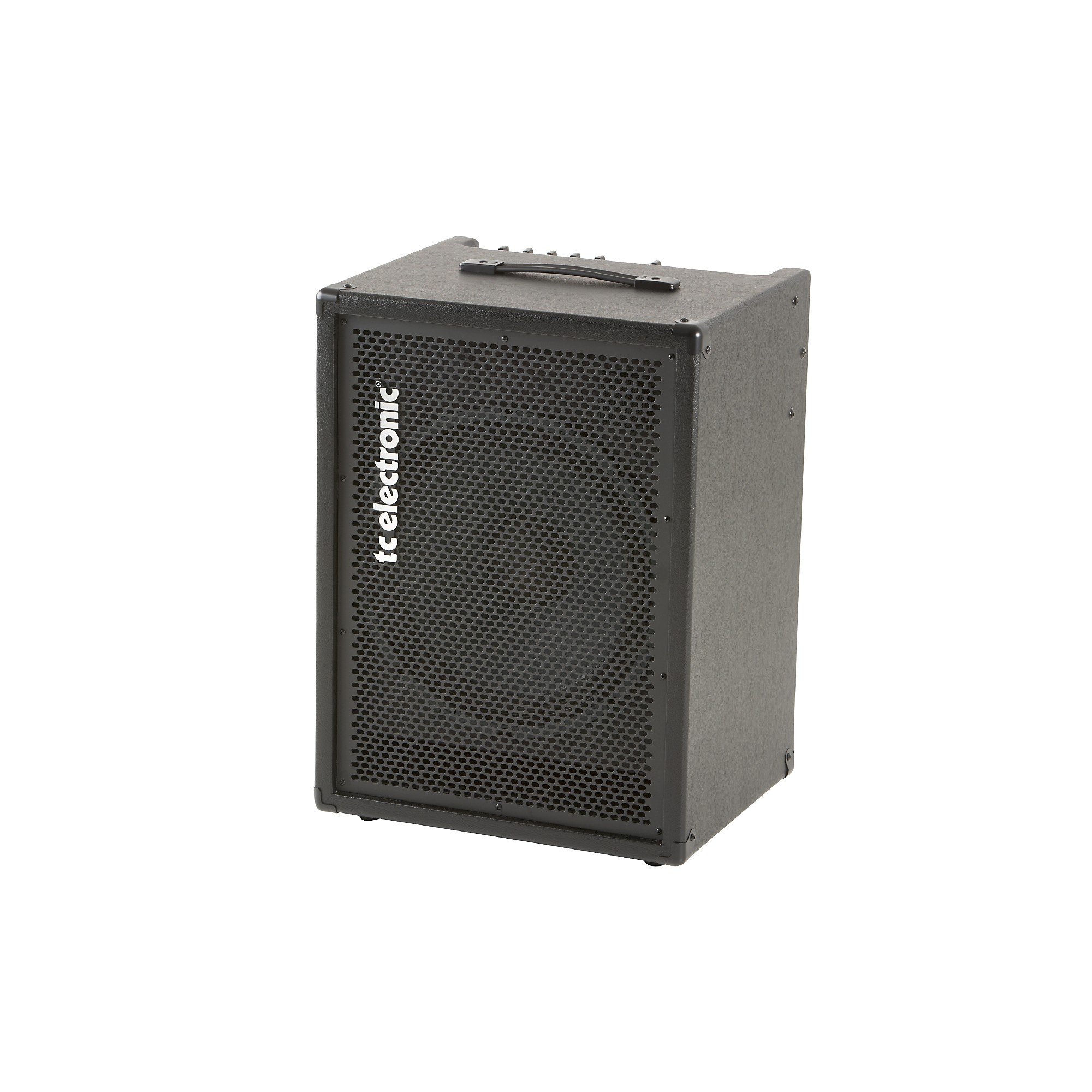 TC Electronic BG250 250W 1x15 Bass Combo Amp Single 15 in