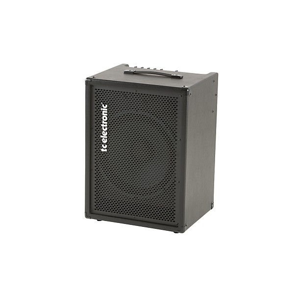 TC Electronic BG250 250W 1x15 Bass Combo Amp Single 15 in