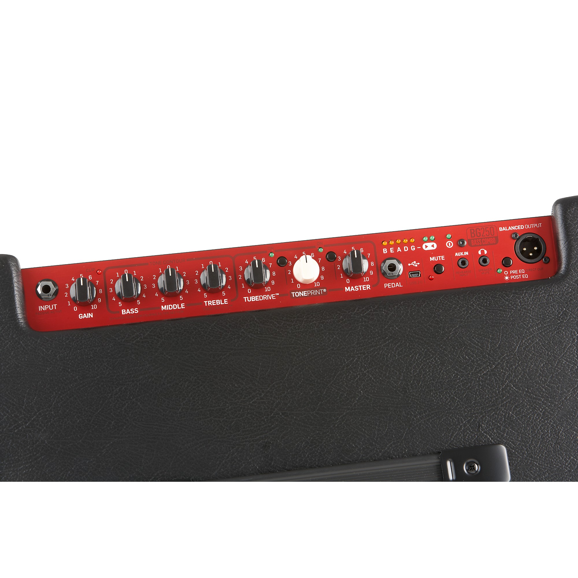 TC Electronic BG250 250W 1x15 Bass Combo Amp Single 15 in