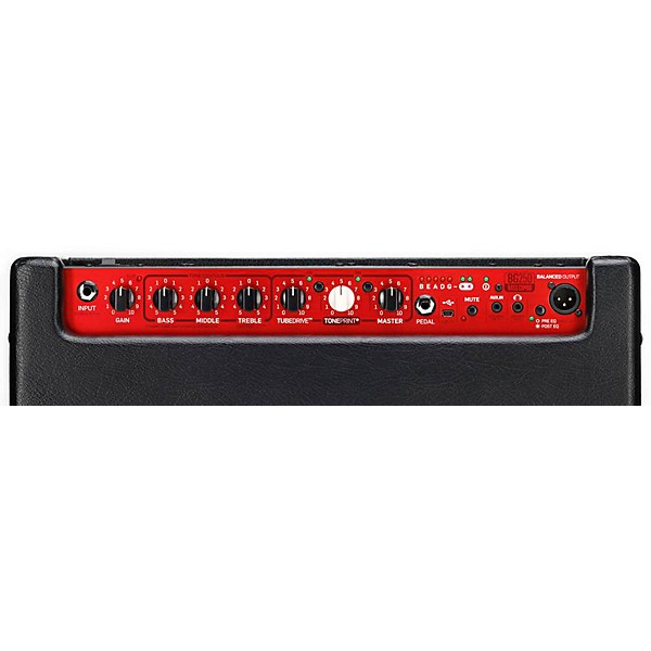 TC Electronic BG250 250W 1x15 Bass Combo Amp Single 15 in