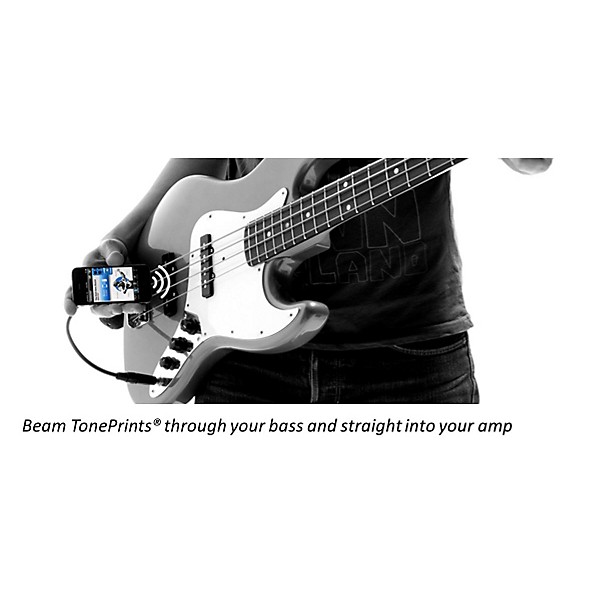 TC Electronic BG250 250W 1x15 Bass Combo Amp Single 15 in. driver and 1 in. tweeter Tone Print Enabled