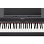 Roland RP-301 Digital Piano (Satin Black)