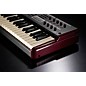Open Box Hammond Sk1 61-Key Digital Stage Keyboard and Organ Level 2 Regular 190839151957