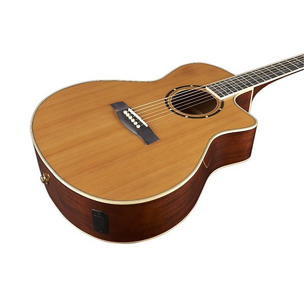 Open Box Hagstrom Elfdalia Grand Auditorium Acoustic-Electric Guitar Level 2 Natural 886830413827