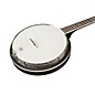 Open Box Regal Appalachian 5-String Banjo Pickin' Pack Level 1 Mahogany resonator