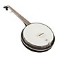 Open Box Regal Appalachian 5-String Banjo Pickin' Pack Level 1 Mahogany resonator