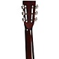 Open Box Regal RC-43 Antiqued Nickel-Plated Body Triolian Resonator Guitar Level 1 Antique nickel-plated