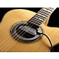 Fishman Neo-Buster Single-Coil Acoustic Guitar Soundhole Pickup/Feedback Buster