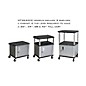 H. Wilson Tuffy Cart with Lockable Cabinet Black and Nickel Small thumbnail