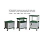 H. Wilson Tuffy Cart with Lockable Cabinet Hunter Green and Nickel Small thumbnail