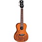 Luna Mo Mah Concert Ukulele Mahogany Lizard Design