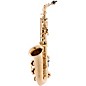 Yamaha YAS-480 Intermediate Eb Alto Saxophone Lacquer