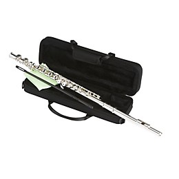Giardinelli Student Flute Outfit Silver Plate