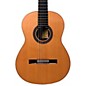 Cordoba Loriente Clarita CD/IN Acoustic Nylon String Classical Guitar Cedar thumbnail