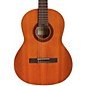 Cordoba Dolce 7/8-Size Acoustic Nylon-String Classical Guitar thumbnail