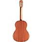 Cordoba Dolce 7/8-Size Acoustic Nylon-String Classical Guitar