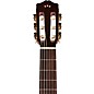 Cordoba Dolce 7/8-Size Acoustic Nylon-String Classical Guitar