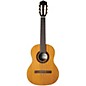 Cordoba Requinto 580 1/2 Size Acoustic Nylon-String Classical Guitar